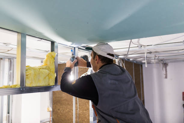 Best Insulation for Specific Applications in La Cienega, NM