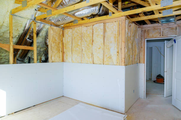 Best Commercial Insulation in La Cienega, NM