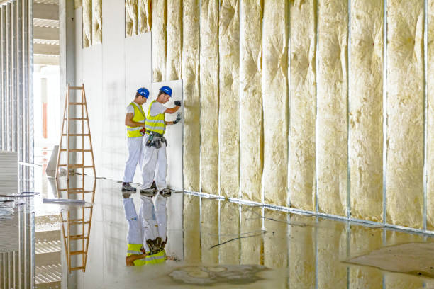 Best Residential Insulation in La Cienega, NM